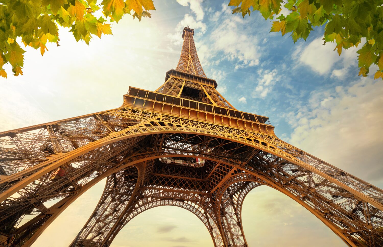 Marshberry Europe base of the Eiffel tower