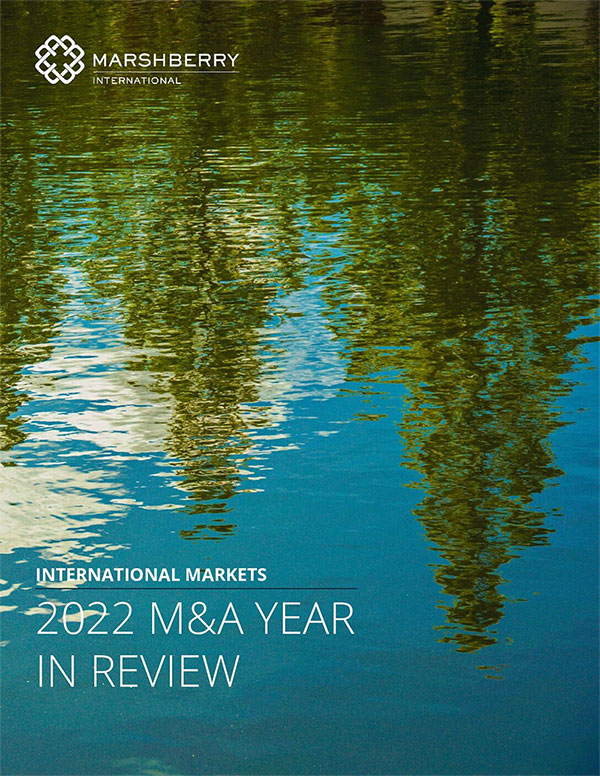 m&a year in review 2022 cover image