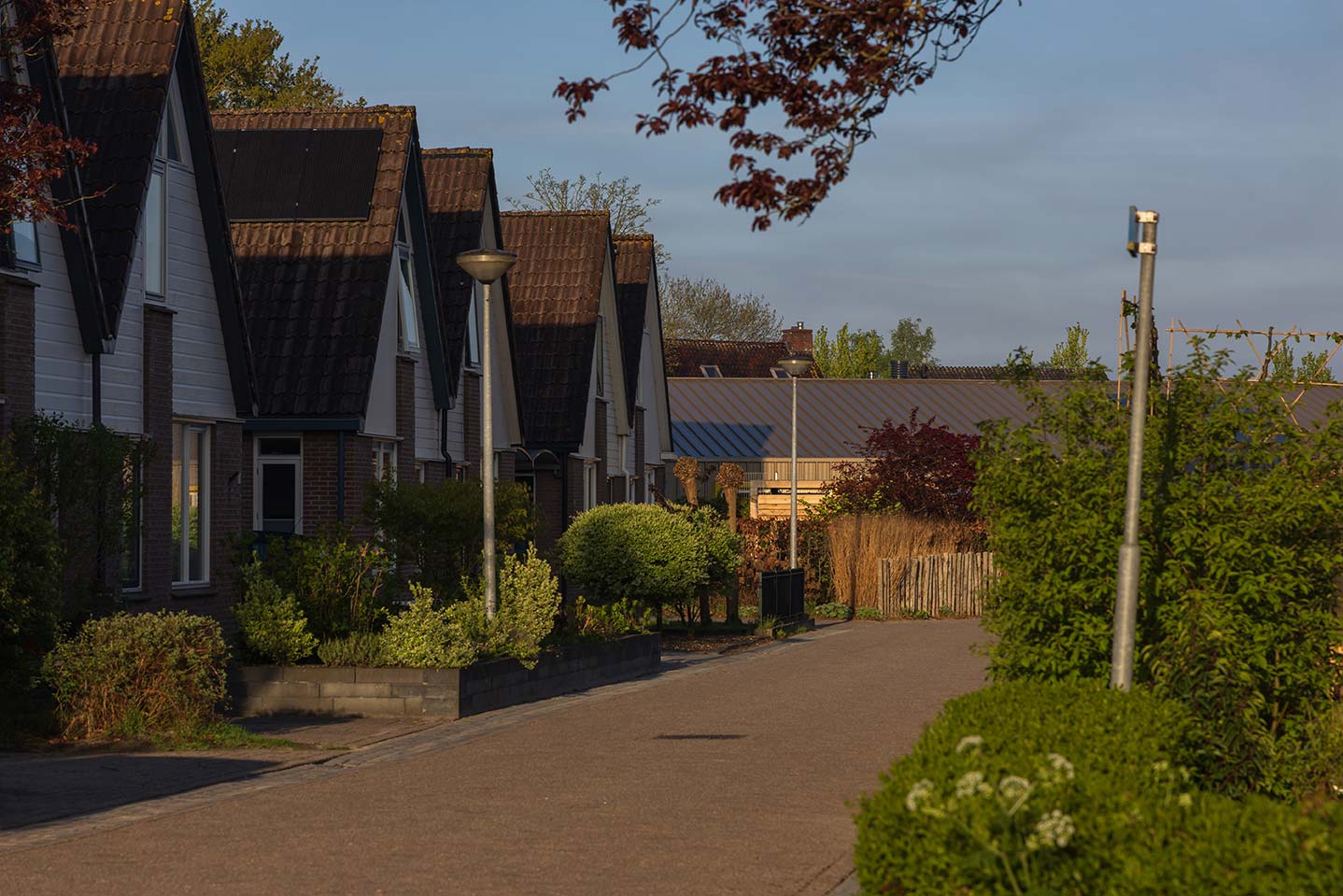 photo of homes
