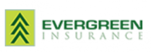 majority ownership of S&T-Evergreen Insurance, LLC