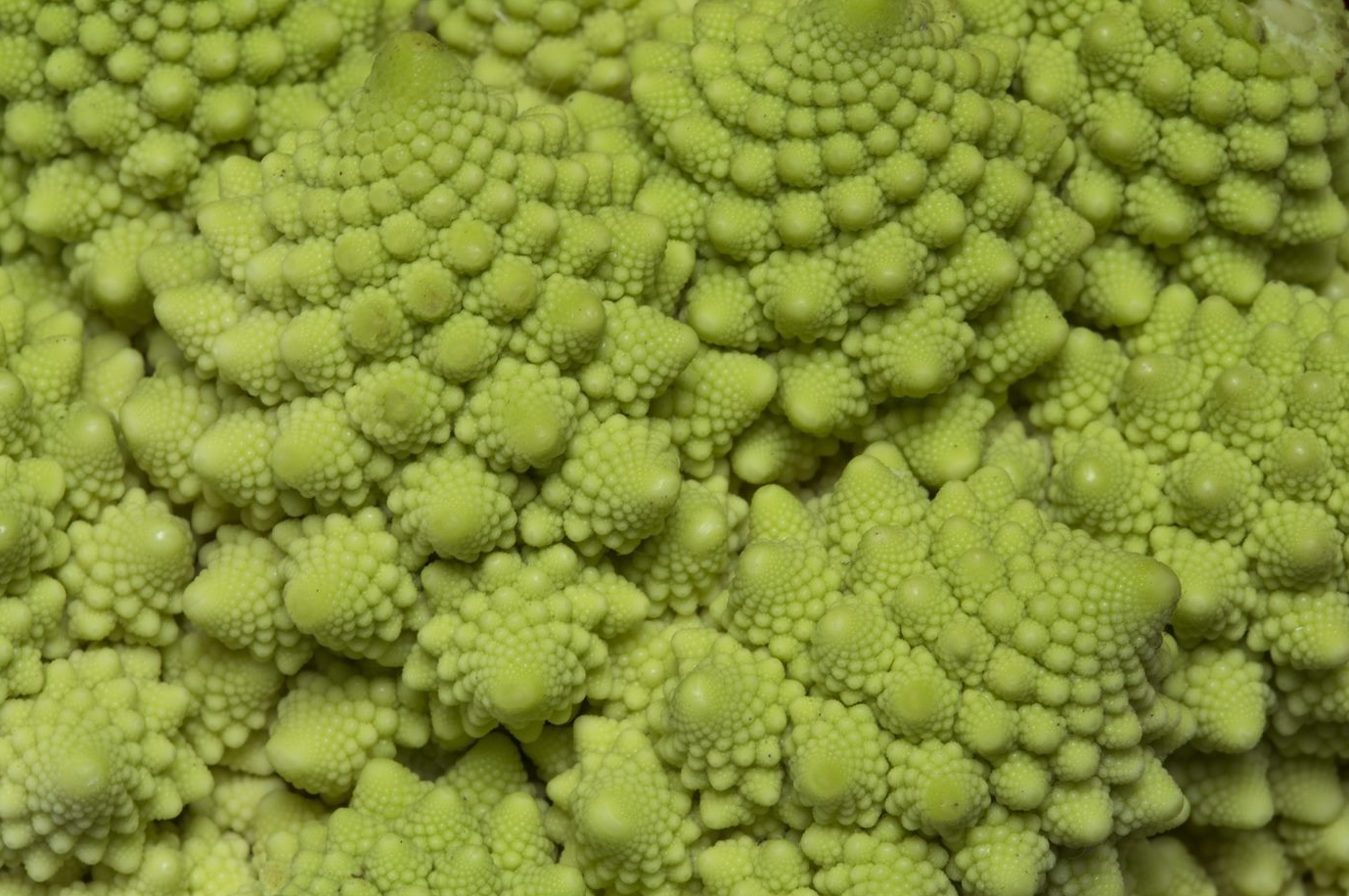 How to Overcome the Great Resignation