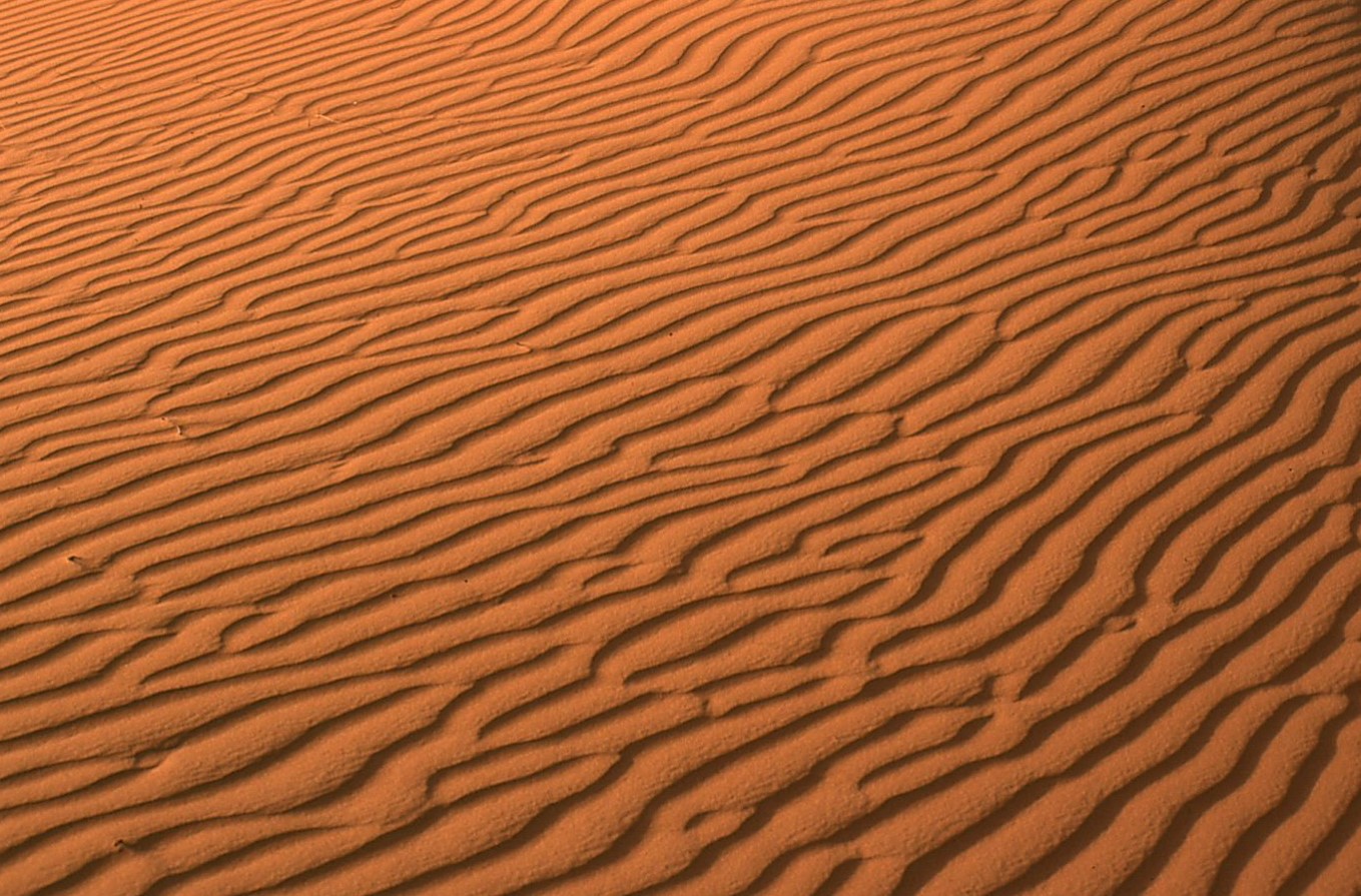 BGA M&A activity increase