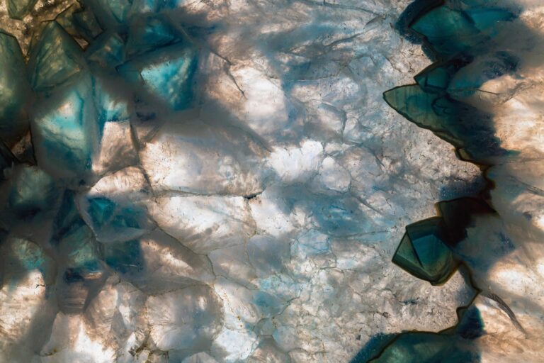 abstract water and nature photo