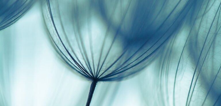 How to grow a business organically