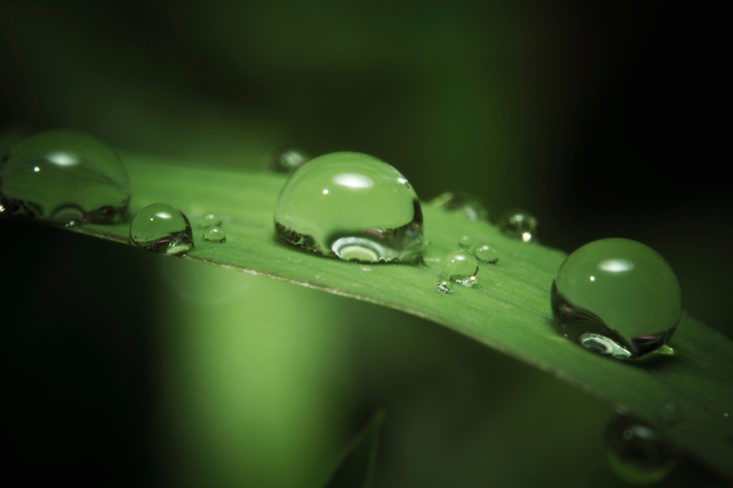 closeup water droplets