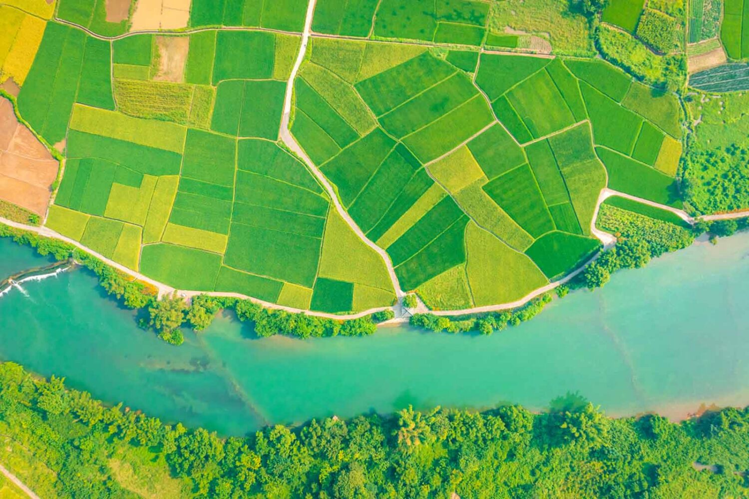 overhead satellite photo of large green plot of land