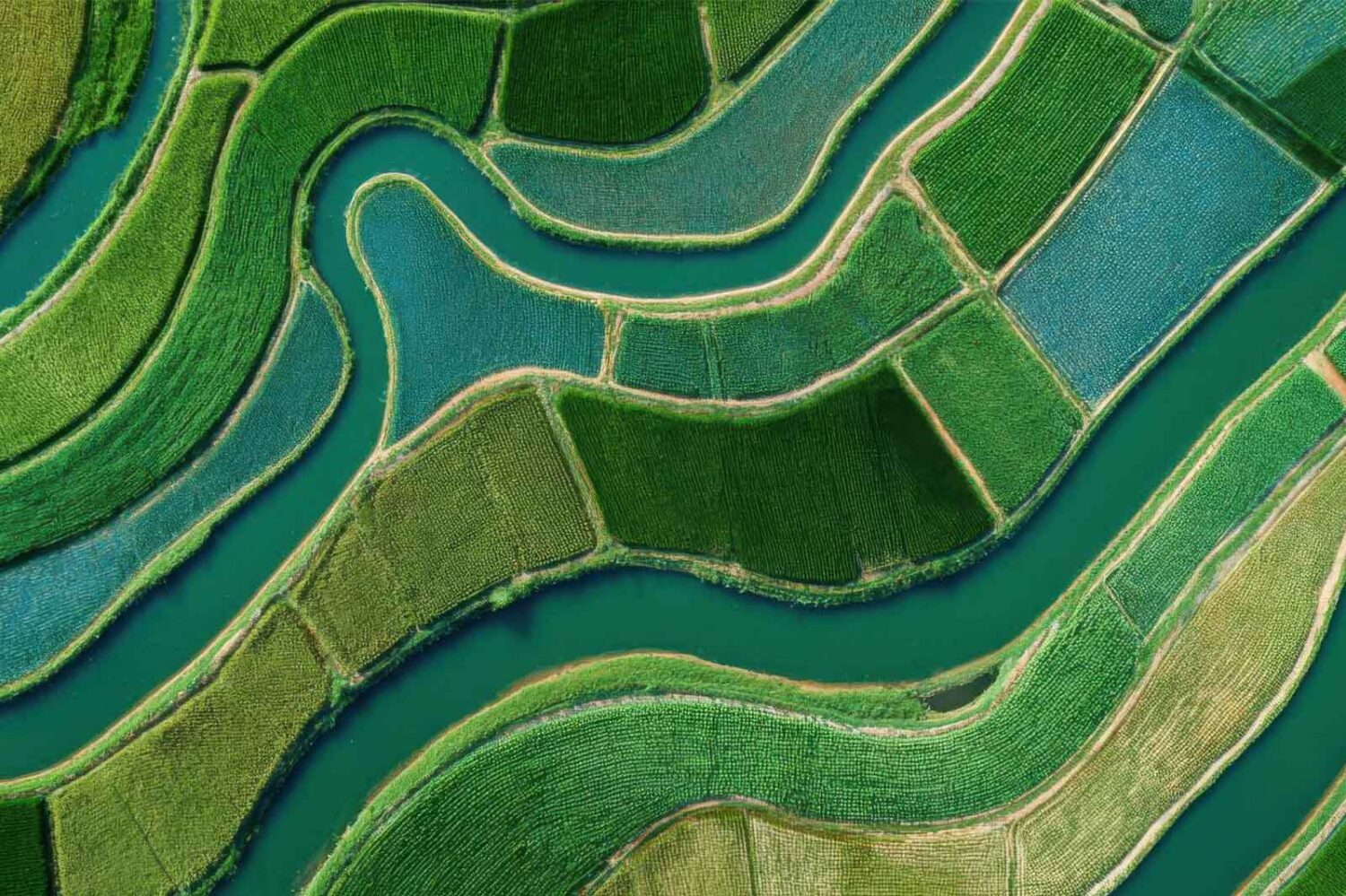 overhead image of a green valley
