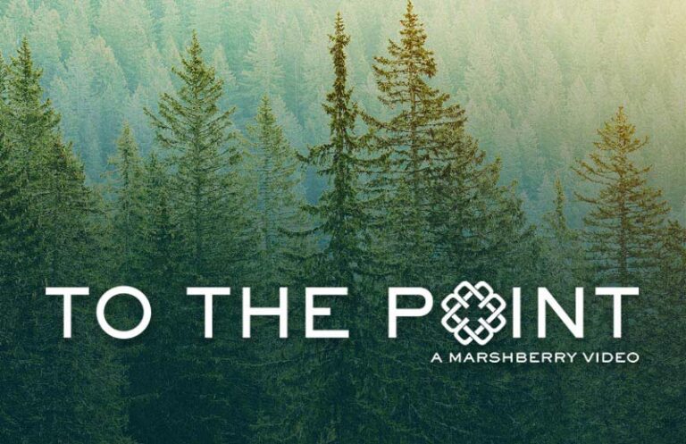 Thumbnail image showing a forest from above with the To The Point logo at the bottom